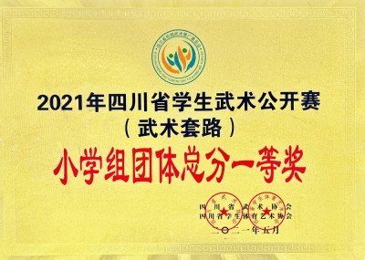 四川省學生武術公開賽團體總分一等獎